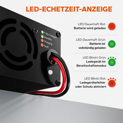 LiTime LiFePO4 Batterieladegerät 14,6V 20A mit Anderson Stecker