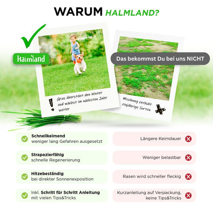 Premium Sport & Spiel Rasensamen - schnellkeimend trockenresistent 10kg