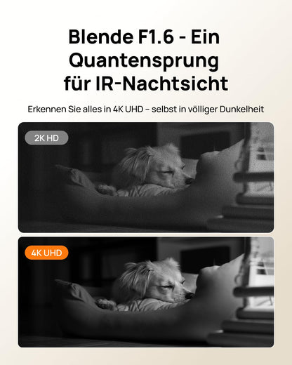 Anona Pano 4K UHD Indoor-Überwachungskamera 4er-Pack mit Wi-Fi 6