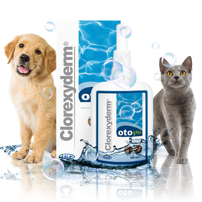 ICF Clorexyderm Oto Piu Ohrreiniger für Hunde und Katzen, 2 x 150 ml