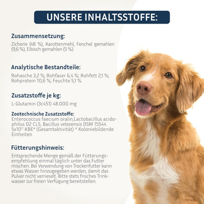 PetFokus Darm Komplex für Hunde – Ergänzungsfuttermittel
