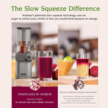 Anybear Entsafter Slow Juicer Kaltentsafter 110mm Silber