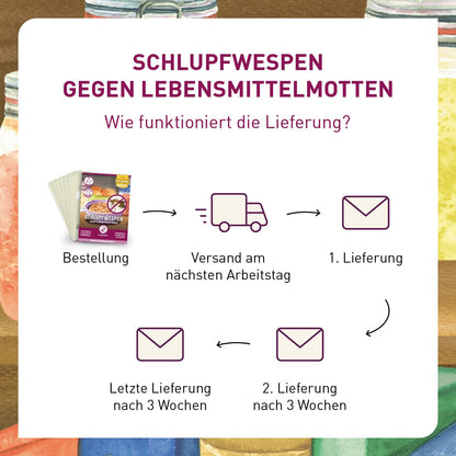 Plantura Schlupfwespen gegen Lebensmittelmotten – 24 Karten