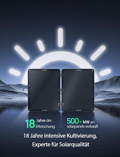 ECO-WORTHY 100W Solarpanel Faltbar Monokristallin für Powerstation