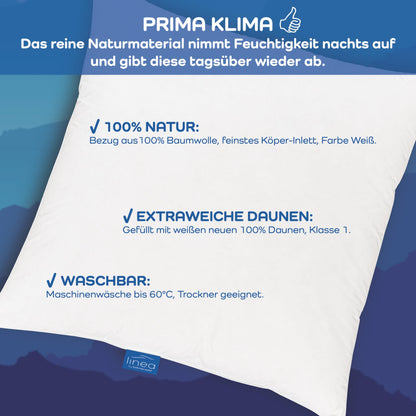 LINEA by böhmerwald cosy Daunen-Kopfkissen - extraweich 80x80