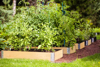 BigDean 3X Hochbeet Palettenrahmen Holz 120x80x20cm