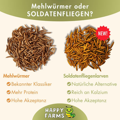 HappyFarms Getrocknete Soldatenfliegenlarven Futter 10kg
