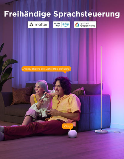 Govee RGBIC LED Ecklampe Matter Alexa Dimmbar - Silber