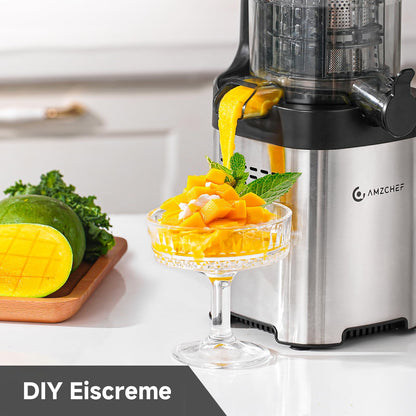 AMZCHEF Slow Juicer 135KJBY Entsafter mit 136 mm Einwurfschacht