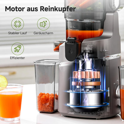 AMZCHEF Entsafter Slow Juicer 250W mit 145mm Öffnung – Grau