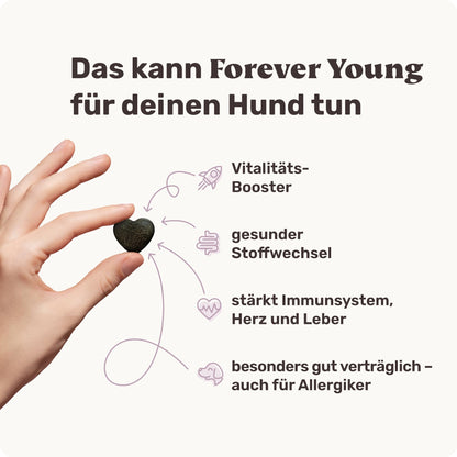 mammaly Forever Young Vital-Komplex für Senior Hunde, 120 Snacks