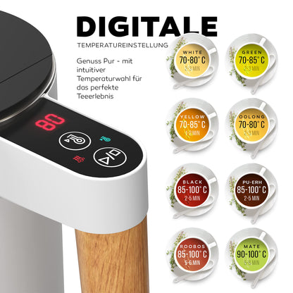 Balter Edelstahl Wasserkocher WK-08 mit Temperatureinstellung, weiss