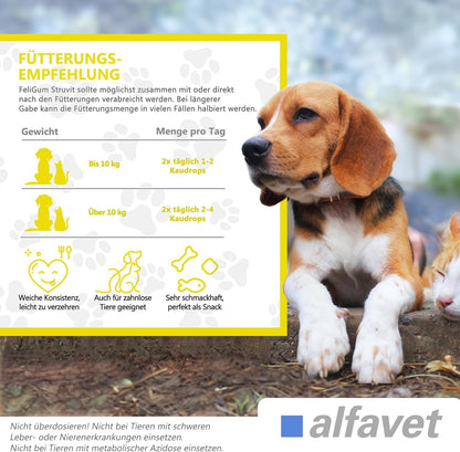 Alfavet Feligum Struvit Kaudrops, Katzen und kleine Hunde, Doppelpack