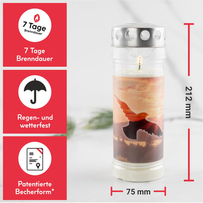 Hofer Friedlicht Grabkerzen Sehnsucht Select, 6er Set, 7 Tage