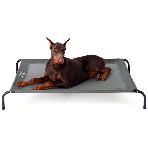 BEDSURE Hundeliege erhöht, Outdoor Hundebett grau, 124x80 cm – erhöhte Netzliegefläche für Hunde