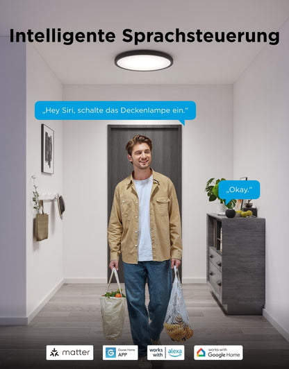 Govee RGBIC LED Deckenleuchte 24W dimmbar Ø30cm Matter schwarz