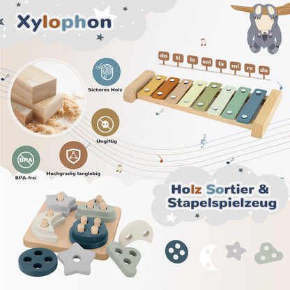 Almaxi 5-in-1 Montessori Spielzeug Baby ab 6 Monate, Motorikspielzeug