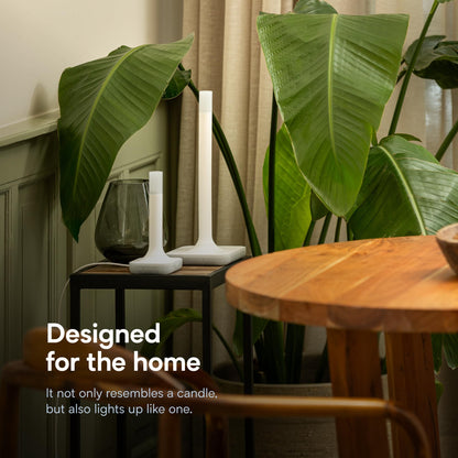 Nabu Casa Home Assistant Connect ZBT-2 Zigbee & Thread Adapter