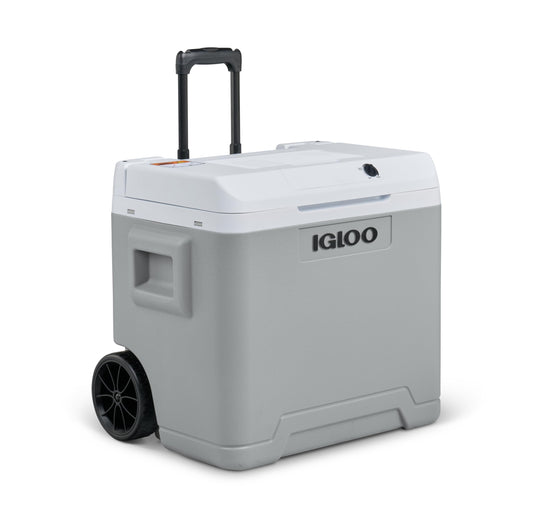 IGLOO IE42 AC/DC Elektrische Kühlbox 42L Grau – 12V/230V. Graue Box zum Kühlen von Inhalten via 12V/230V.