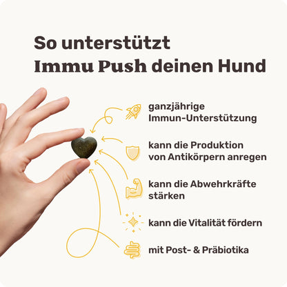 mammaly Immu Push Immunsystem Leckerli für Hunde 350g