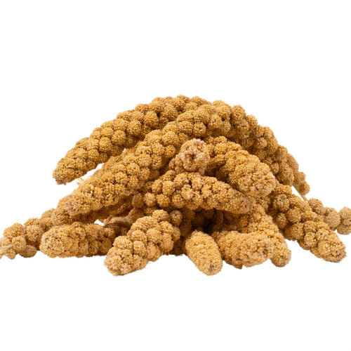 Lyra Pet Kolbenhirse gelb 15 kg Vogelfutter für Ziervögel & Wildvögel, naturbelassene gelbe Hirsekolben