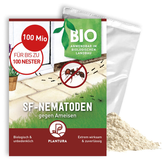 Plantura SF-Nematoden: Biologische Ameisenbekämpfung – 100 Mio. Helles, feines Granulat zur Ameisenbekämpfung per Gießanwendung.