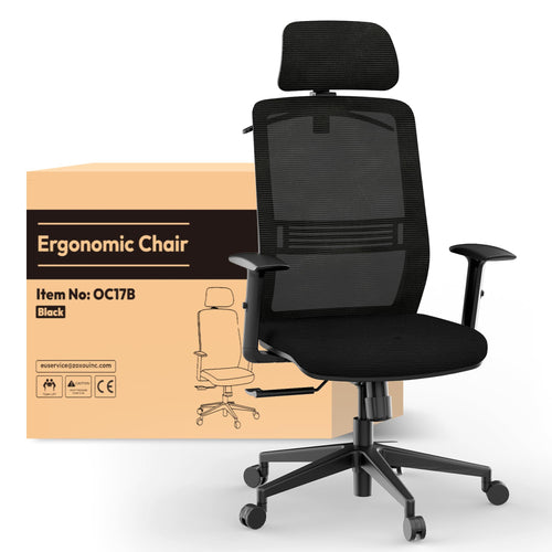 FLEXISPOT OC17 Ergonomischer Bürostuhl Schreibtischstuhl Schwarz