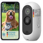 PetTec Cam Free Outdoor Hundekamera - wetterfeste WLAN-Kamera mit Akku