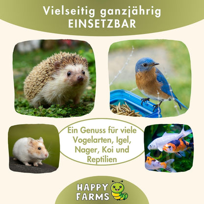 HappyFarms Getrocknete Soldatenfliegenlarven Futter 10kg