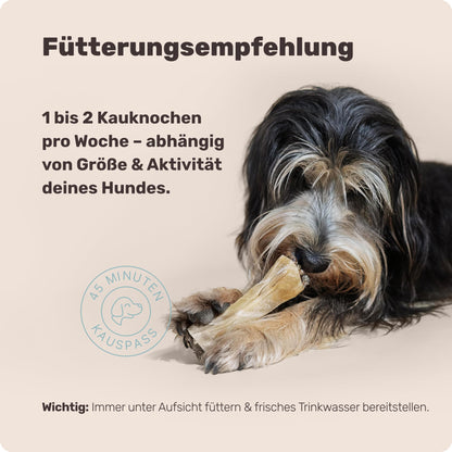 mammaly Relax Bone+ Kauknochen mit Kamille & Lavendel, 17 cm