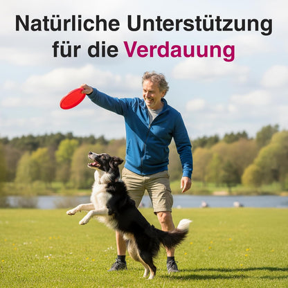 alfavet EnzymoPank Verdauungs-Ergänzungsfuttermittel 500g