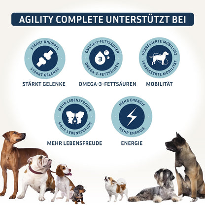 PetFokus Agility Complete Gelenkpulver für Hunde mit Grünlippmuschel