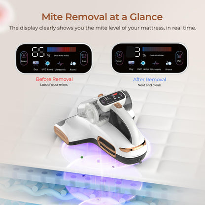 JIGOO T600 Milbensauger mit UV-Licht & Heißluft [700W/15kPa] – 99,9% Allergen-Entfernung, Duftende Negative Ionen, Für Matratzen/Sofas/Teppiche (Leise & Effizient)