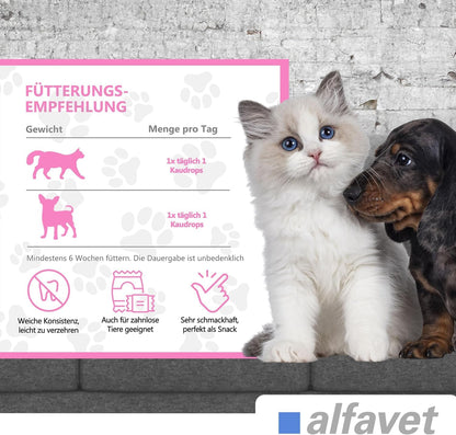 Alfavet FeliGum Gingiva Kaudrops für Katzen und Hunde, 2 x 120 g