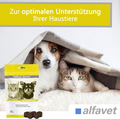 Alfavet Feligum Struvit Kaudrops, Katzen und kleine Hunde, Doppelpack