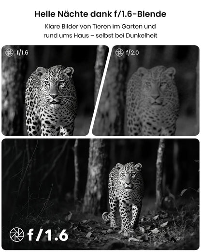 Misstech Solar-Wildkamera 4K 64MP mit Handyübertragung und Nachtsicht