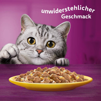Whiskas Senior 7+ Katzennassfutter - Gemischte Auswahl Gelee 120x85g