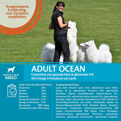 Wellness CORE Ocean Hundefutter trocken – Lachs & Thunfisch 10 kg