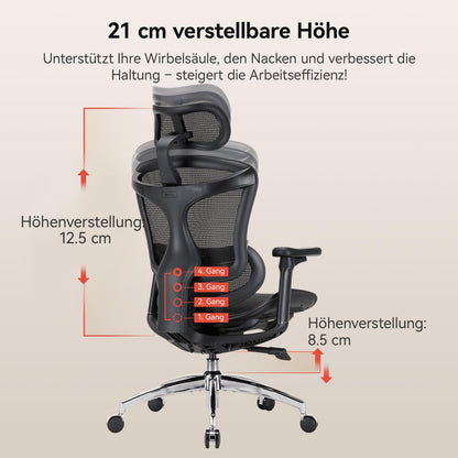 SIHOO Doro C300 Ergonomischer Bürostuhl Homeoffice Schwarz