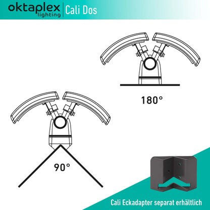 Oktaplex lighting Cali Dos 40W LED Aussenstrahler - Anthrazit Warmweiss