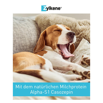 Vetoquinol - Zylkene 225mg 100 Kapseln für Hunde und Katzen, 1er Pack (1 x 0.15 kilograms)