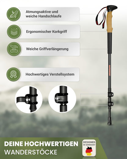 ALPENWERT Wanderstöcke Teleskop Trekkingstöcke - Carbon