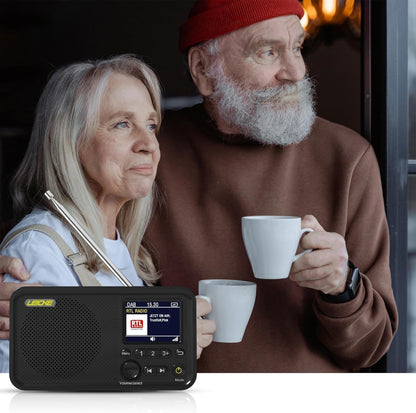 LEICKE tragbares DAB+ Radio mit Bluetooth 5.0 und 4000 mAh Akku