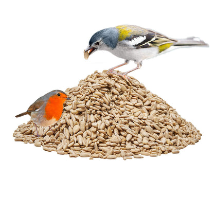 Paul´s Mühle Sonnenblumenkerne geschält Vogelfutter 25 kg