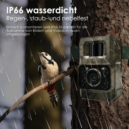 MAXDONE Wildkamera PH960W 4K 64MP WLAN Nachtsicht mit Bewegungsmelder