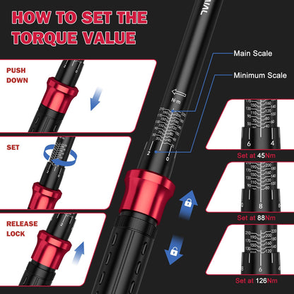 ALAIAL 12-tlg. Drehmomentschlüsselset - 1/2" & 3/8", 20-220Nm, 5-60Nm