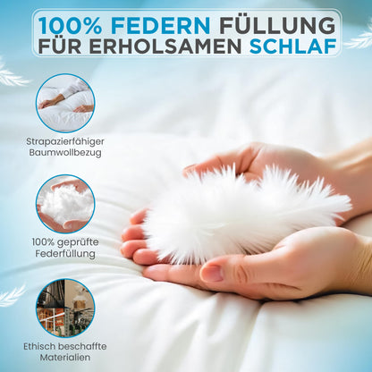 Sandaro Home Kopfkissen 80x80 cm, Federkissen mit Gänsefedern, 1500 g
