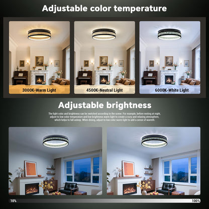 Yuanfenghua LED Deckenleuchte Rund Dimmbar Schwarz Ø50cm