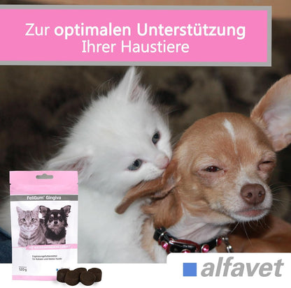 Alfavet FeliGum Gingiva Kaudrops für Katzen und Hunde, 2 x 120 g