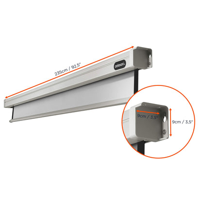 celexon Professional Motor-Leinwand 105" 4:3 220x165 cm